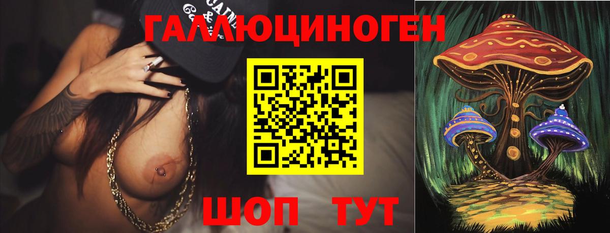 Псилоцибиновые грибы Psilocybe  Вход с VPN  Санкт-Петербург 